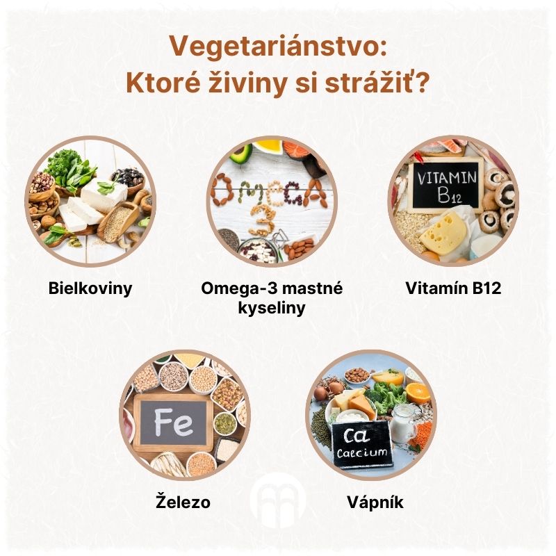 (Slovenčina) Vegetariánství - Které živiny si hlídat